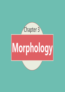 Morphology词法,词态学