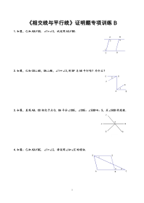 《相交线与平行线》证明题专项训练B