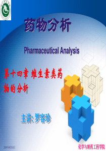 14维生素类药物的分析