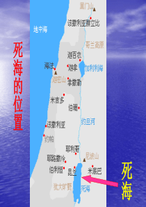 《死海不死》详解