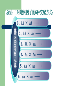 553-总结：1对遗传因子的6种交配方式：