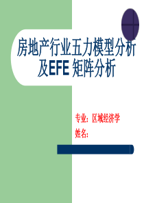 五力模型及EFE矩阵