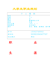 3大学生职业规划