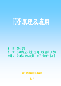 ERP原理与实施(专业)().精讲