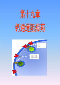 19章-钙通道阻滞药