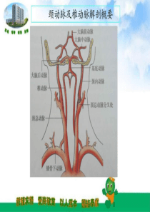 70锁骨下动脉盗血综合征