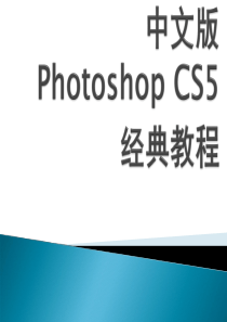 photoshop 绘画与修饰图像