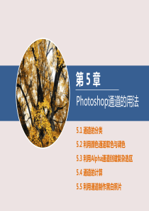 photoshop 通道的用法