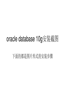 oracle database 10g安装截图