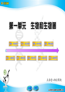 初中生物  中考复习  人教版 七上   第一单元 生物与生物圈