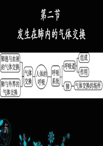 初中生物七下4.3.2发生在肺内的气体交换(最终定稿)