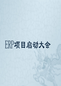 ERP项目启动大会2