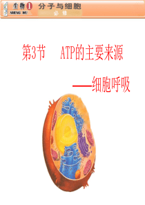 第三节 ATP的主要来源--细胞呼吸 课时2