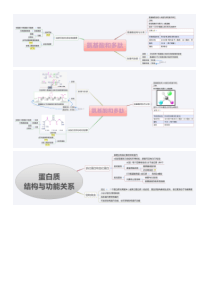 生物化学思维导图