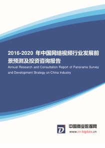 2016-2020年中国网络视频行业市场调研与发展前景分析报告