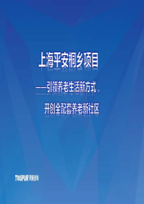 同策XXXX年上海平安桐乡项目前期定位报告