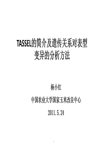 TASSEL的简介及遗传关系对表型变异贡献的分析方法_杨小红