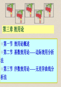 50微观经济学第三章