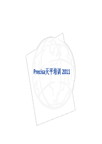 Precisa天平