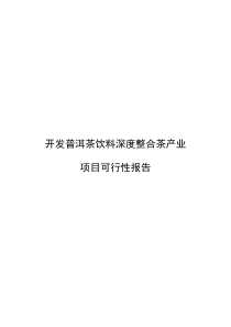 普洱茶饮料深度整合开发项目可行性报告