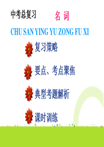 2013届九年级中考33个模块总复习课件――名词课件1