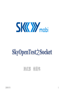 SkyOpenTest之Socket接口测试