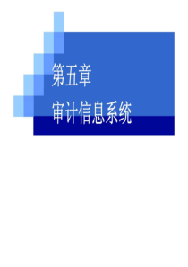 ch05审计信息系统