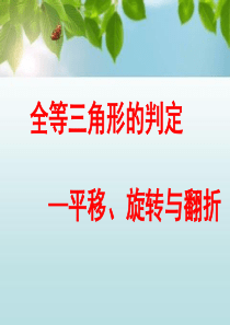 全等三角形 平移、旋转翻折课件2