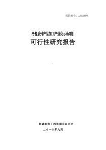 枣饮料可研报告55