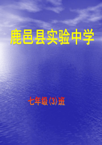 七年级语文专题复习：图文转换