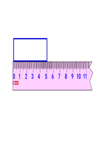 认识米和用米量PPT