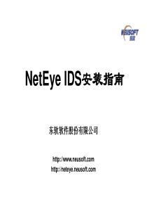 NetEye IDS 安装