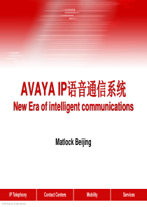 AVAYA IPT PBX 语音通信系统