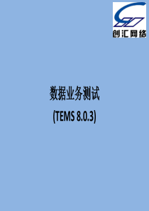 数据业务测试(TEMS)