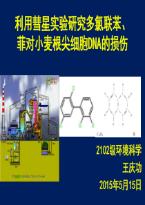 86污染生态学