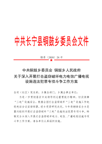 关于深入开展打击盗窃破坏电力电信广播电视设施违法犯罪专项斗争工作方案