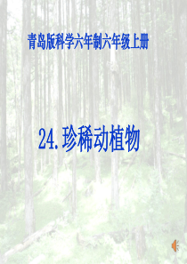 24.珍稀动植物(课件)