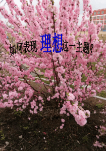 6《桃花源记》公开课ppt课件