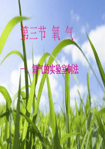 第四单元第三节氧气(第一课时)鲁教版