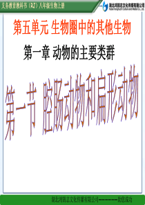 人教版八年级生物上册-第一节-腔肠动物和扁形动物课件