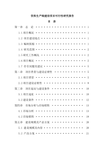 饮料生产线建设项目可行性研究报告