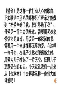 《合欢树》课件