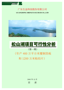 [项目管理]松山湖项目可行性分析(第一期)(年产400万平方米覆铜箔板和1000万米粘结片)(pdf