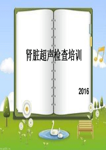 2016肾脏的超声检查