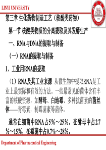 33核酸类药物