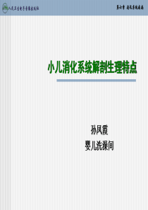 小儿消化系统解剖生理特点