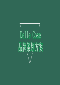 意大利Delle-Cose奢侈时尚品牌传播策划方案【精编版】