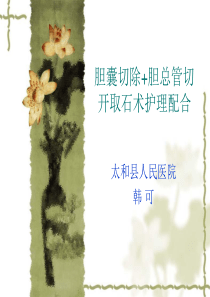 胆囊切除 胆总管切开取石术护理配合.