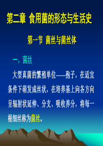 55食用菌生产概论-形态与生活史