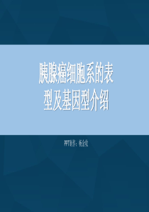 胰腺癌细胞系的表型及基因型介绍